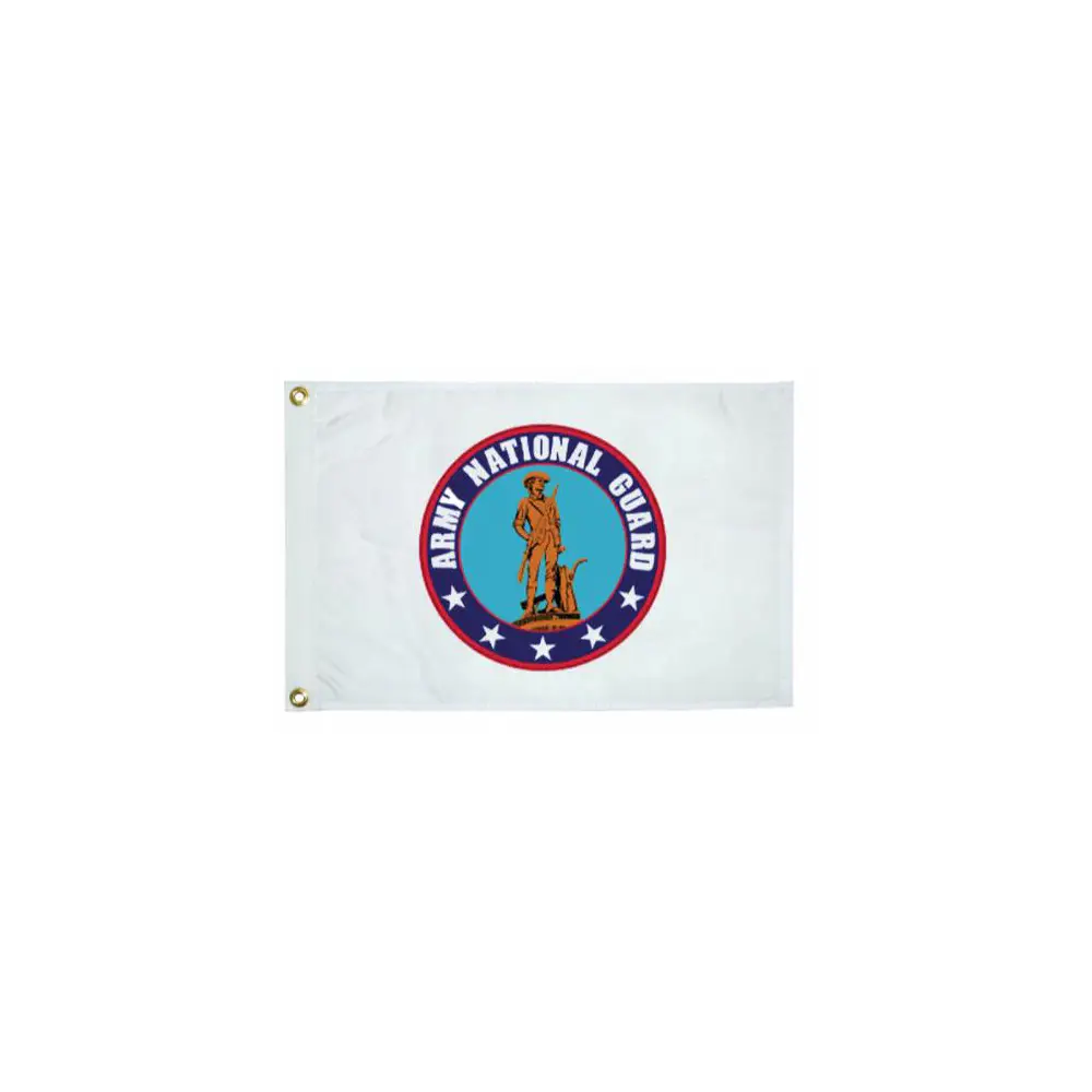 Taylor Made - 12" x 18" National Guard Flag - TAY5627
